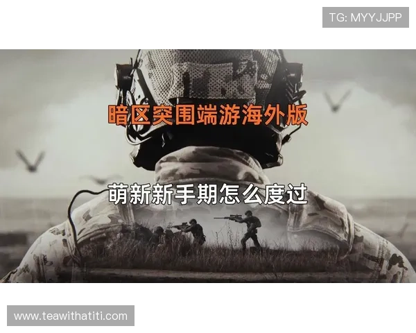 暗区突围怎么取：新手必看的操作技巧与注意事项